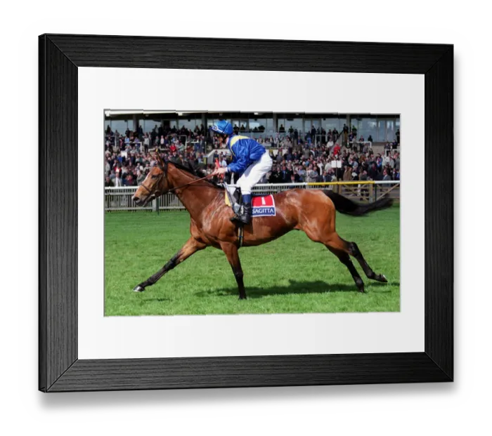 Framed Print : Holding Court