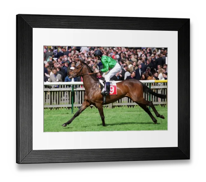 Framed Print : Saltwood Ridden By J.Murtagh Newmarket Guineas Festival Newmarket
