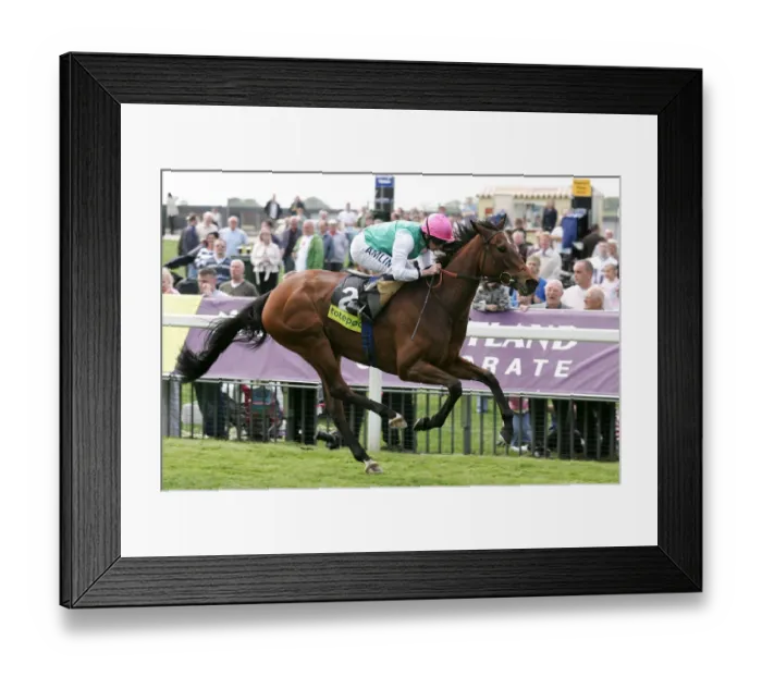 Framed Print : Promising Lead Framed Print : Promising Lead