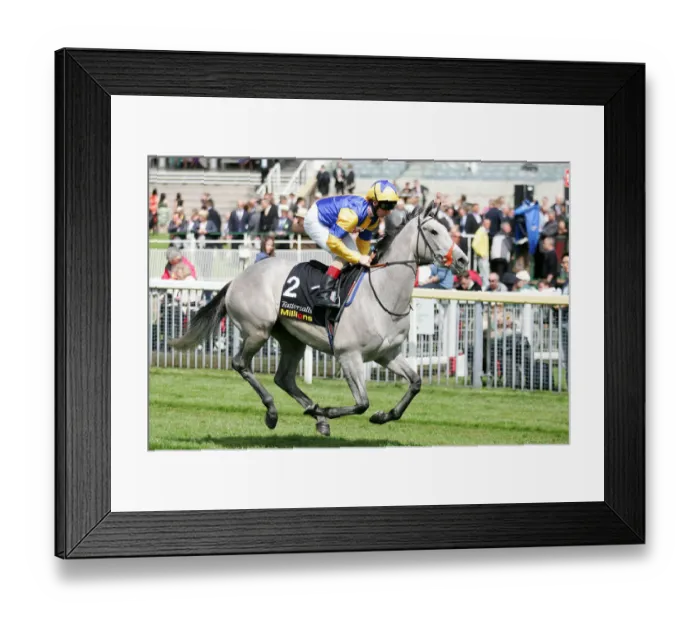 Framed Print : Comeback Queen Framed Print : Comeback Queen