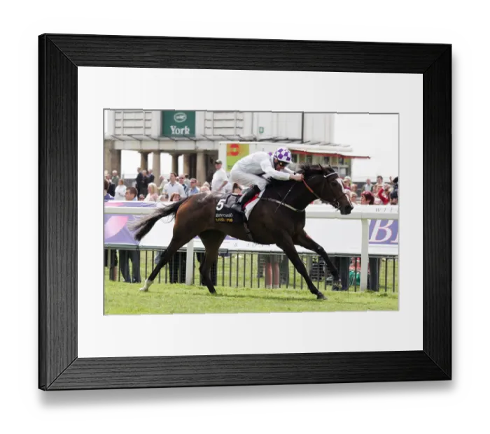Framed Print : Lush Lashes Framed Print : Lush Lashes