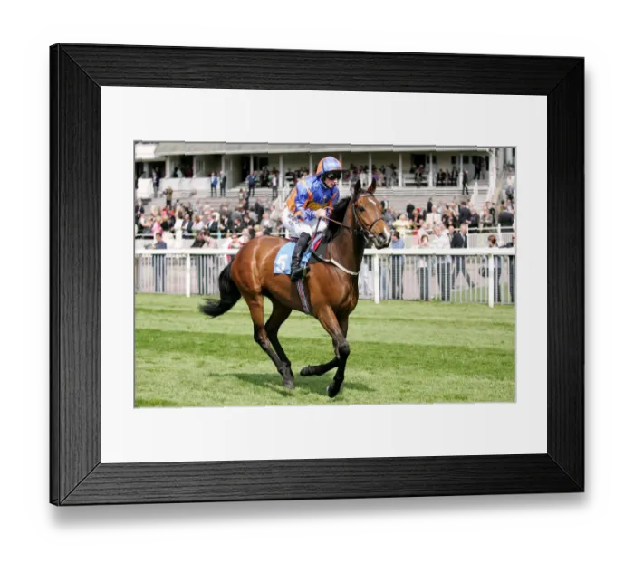 Framed Print : Annemasse Ridden By Tony Hamilton York May Festival 2008 York Racecourse Framed Print : Annemasse Ridden By Tony Hamilton York May Festival 2008 York Racecourse
