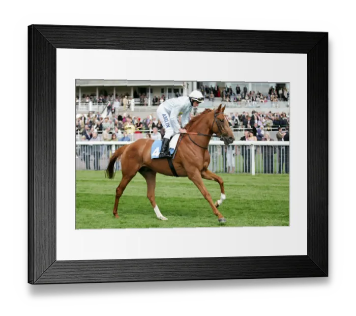Framed Print : Lang Shining Framed Print : Lang Shining