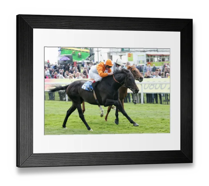 Framed Print : Mias Boy Ridden By Jimmy Quinn York May Festival 2008 York Racecourse Framed Print : Mias Boy Ridden By Jimmy Quinn York May Festival 2008 York Racecourse
