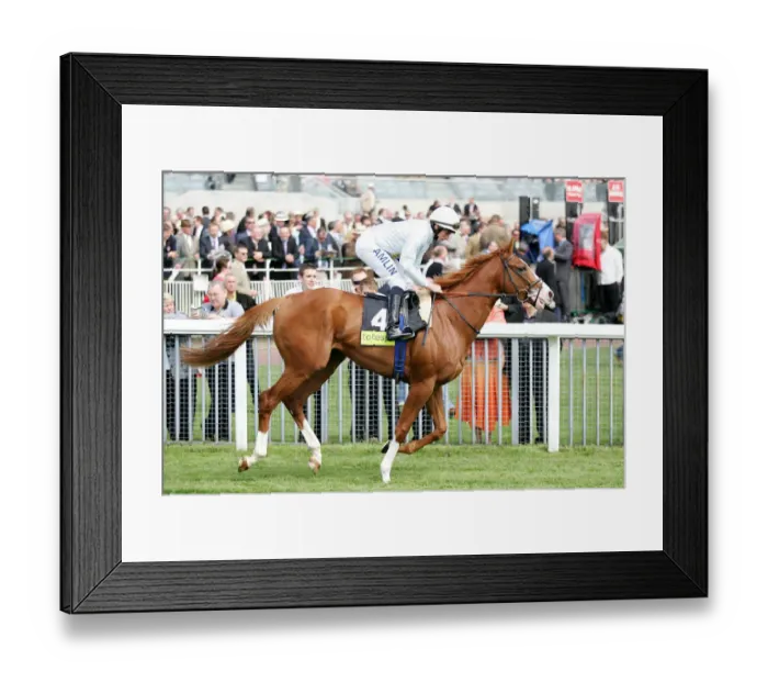 Framed Print : Tartan Bearer Framed Print : Tartan Bearer