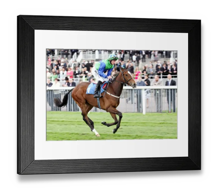 Framed Print : Aspen Darlin Framed Print : Aspen Darlin