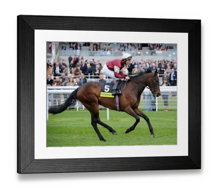 Framed Print : Rio Guru Ridden By Tony Culhane May Dante Festival 2009 York Racecourse Framed Print : Rio Guru Ridden By Tony Culhane May Dante Festival 2009 York Racecourse