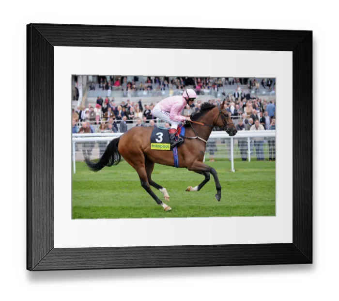 Framed Print : Dar Re Mi Ridden By L. Dettori May Dante Festival 2009 York Racecourse Framed Print : Dar Re Mi Ridden By L. Dettori May Dante Festival 2009 York Racecourse