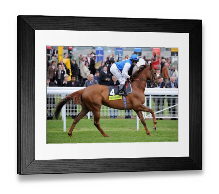 Framed Print : Princess Taylor Framed Print : Princess Taylor