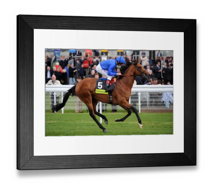 Framed Print : Kite Wood Ridden By L. Dettori May Dante Festival 2009 York Racecourse Framed Print : Kite Wood Ridden By L. Dettori May Dante Festival 2009 York Racecourse