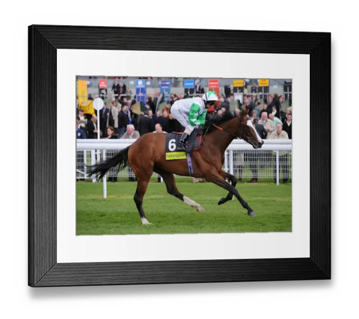 Framed Print : Monitor Closely Framed Print : Monitor Closely