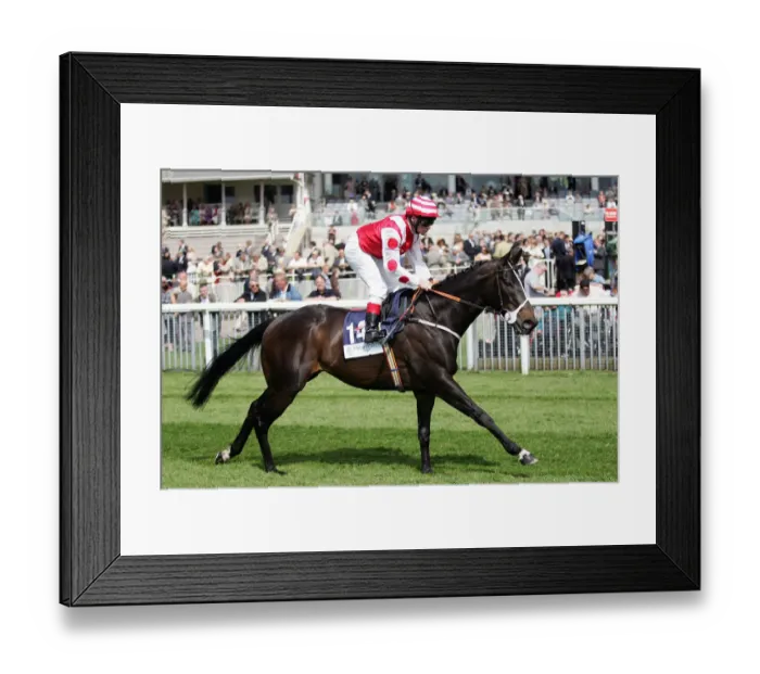 Framed Print : Rising Shadow Framed Print : Rising Shadow