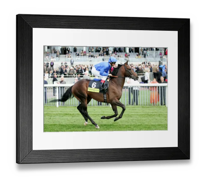 Framed Print : Young Pretender Framed Print : Young Pretender