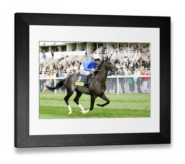 Framed Print : Mccartney Ridden By Kerrin Mcevoy York May Festival 2008 York Racecorse Framed Print : Mccartney Ridden By Kerrin Mcevoy York May Festival 2008 York Racecorse
