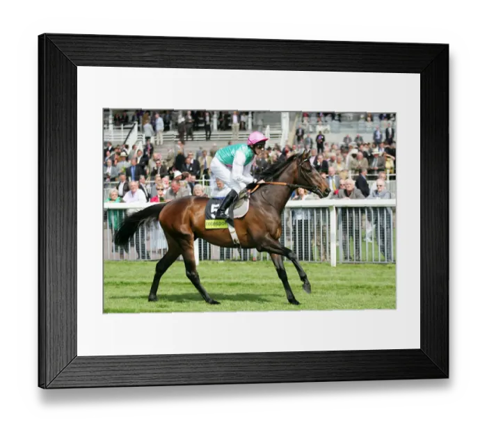 Framed Print : Twice Over Framed Print : Twice Over