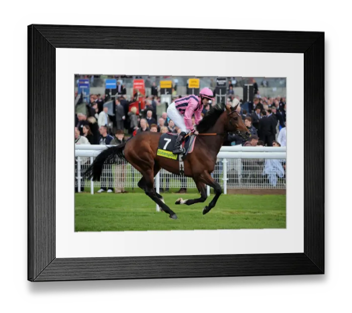 Framed Print : Native Ruler Framed Print : Native Ruler