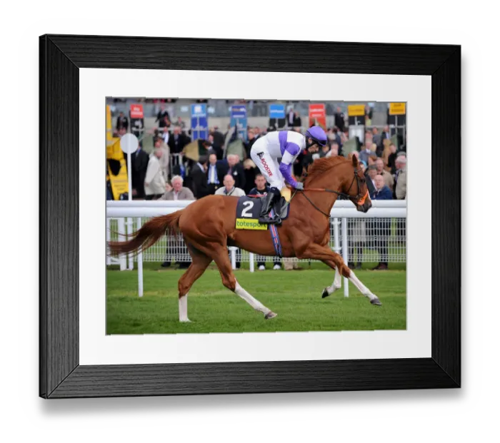 Framed Print : Crowded House Framed Print : Crowded House