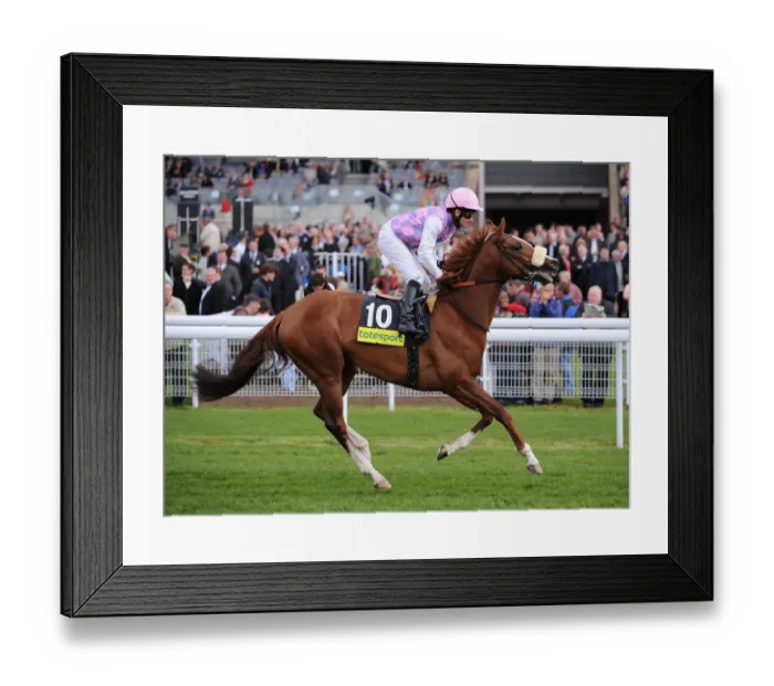 Framed Print : Sans Frontieres Framed Print : Sans Frontieres