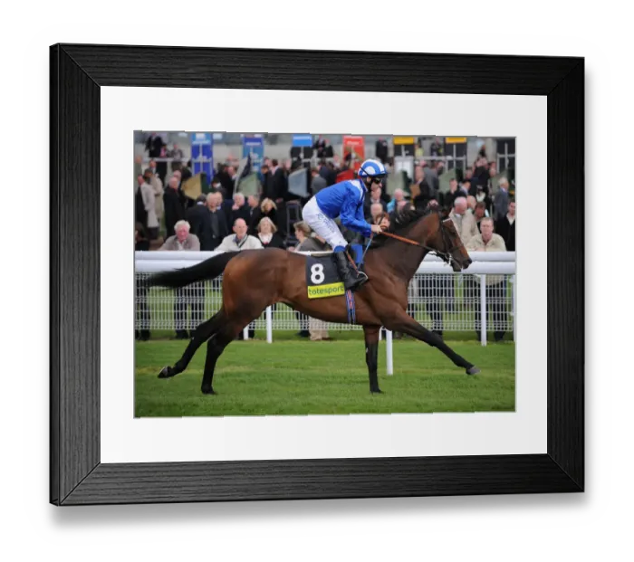 Framed Print : Nehaam Ridden By Richard Hills May Dante Festival 2009 York Racecourse Framed Print : Nehaam Ridden By Richard Hills May Dante Festival 2009 York Racecourse