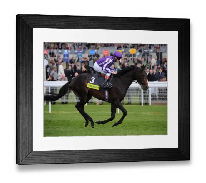Framed Print : Freemantle Framed Print : Freemantle