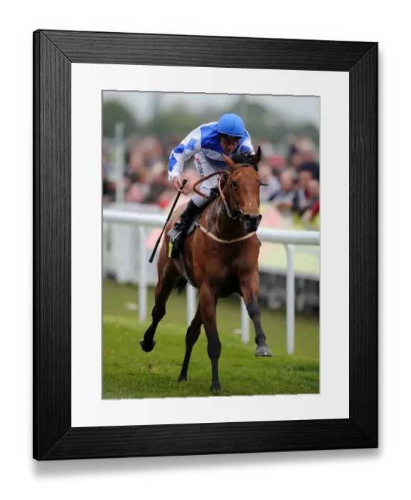 Framed Print : Internationaldebut Framed Print : Internationaldebut