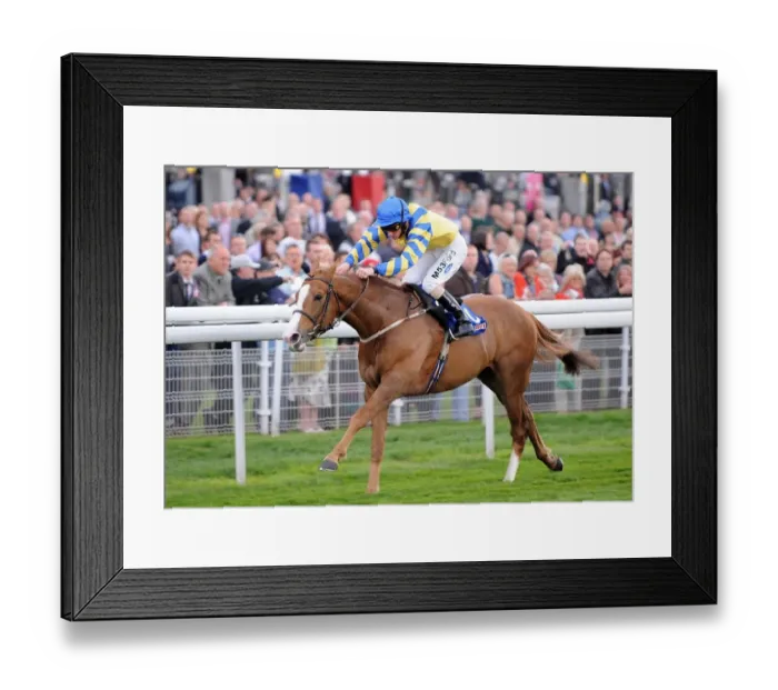 Framed Print : Tepmokea Ridden By Paul Hanagan