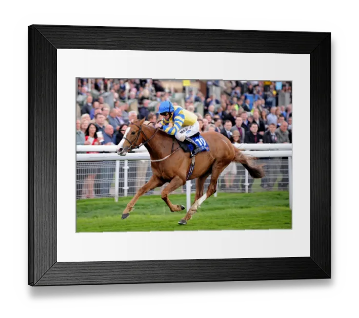 Framed Print : Tepmokea Ridden By Paul Hanagan Framed Print : Tepmokea Ridden By Paul Hanagan