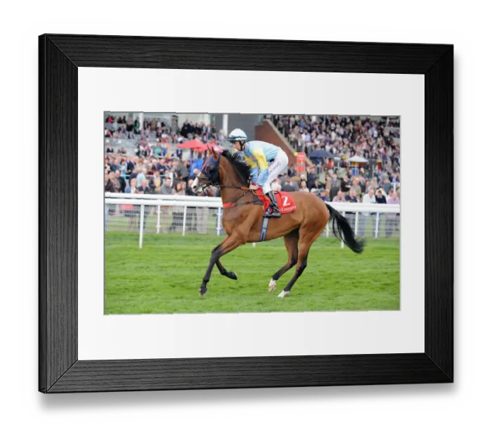 Framed Print : Asker Tau Ridden By George Baker Dante Festival Framed Print : Asker Tau Ridden By George Baker Dante Festival