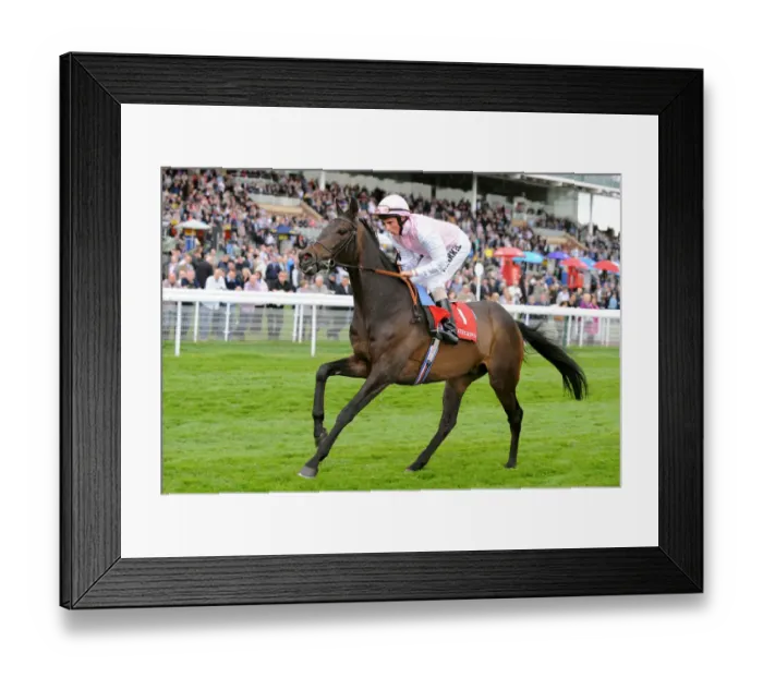 Framed Print : Duncan Ridden By William Buick Dante Festival Framed Print : Duncan Ridden By William Buick Dante Festival