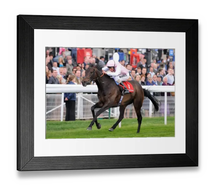 Framed Print : Duncan Ridden By William Buick Framed Print : Duncan Ridden By William Buick