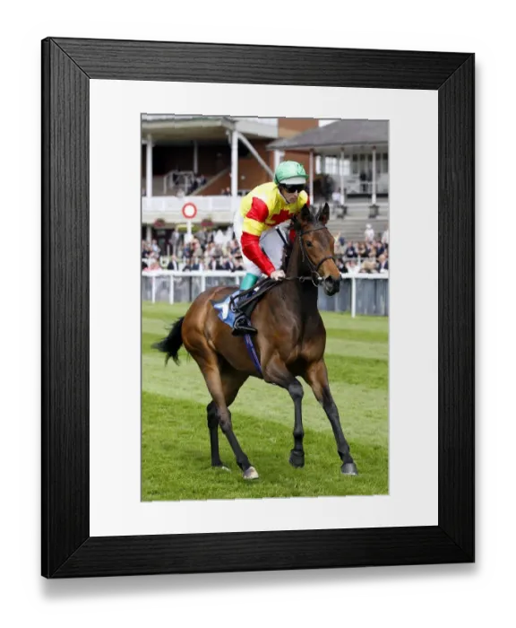 Framed Print : Jennifers Joy