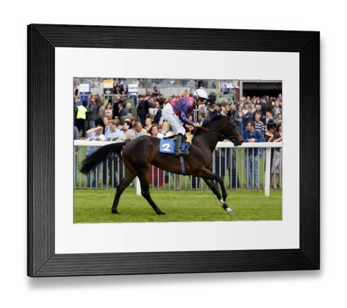 Framed Print : Dubai Princess Framed Print : Dubai Princess