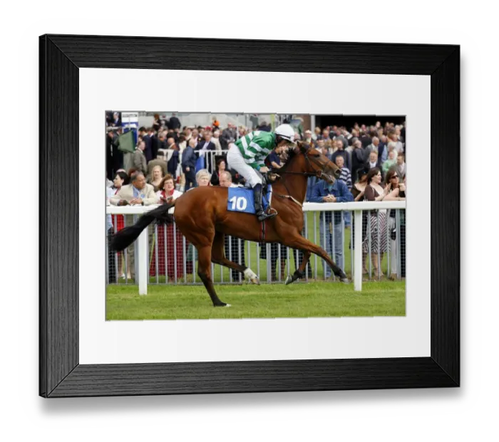 Framed Print : Shivering Ridden By W Lee May Festival Meeting York 2007 The Knavesmire Framed Print : Shivering Ridden By W Lee May Festival Meeting York 2007 The Knavesmire