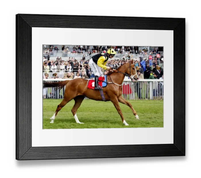 Framed Print : Sergeant Cecil Framed Print : Sergeant Cecil