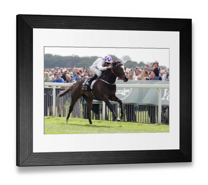 Framed Print : Lush Lashes Ridden By Kevin Manning Wins