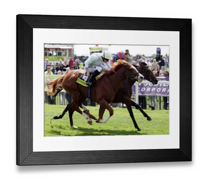 Framed Print : Tarten Bearer Wins Ahead Of Frozen Fire Ridden By Ryan Moore