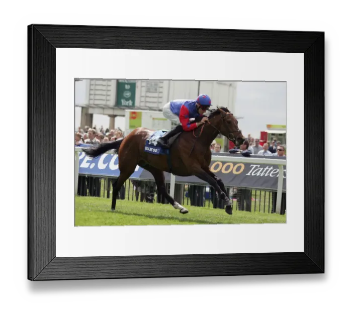 Framed Print : Fathsta Ridden By Richard Hughes York May Festival 2008 York Racecorse Framed Print : Fathsta Ridden By Richard Hughes York May Festival 2008 York Racecorse