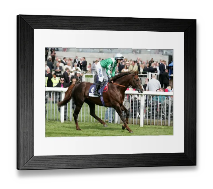 Framed Print : Assertive Ridden By Ryan Moore York May Festival 2008 York Racecorse Framed Print : Assertive Ridden By Ryan Moore York May Festival 2008 York Racecorse
