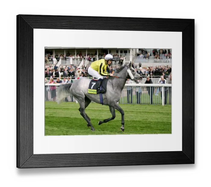 Framed Print : Under The Rainbow