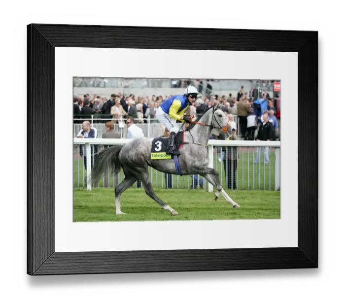 Framed Print : Ronaldsay Ridden By Jimmy Fortune York May Festival 2008 York Racecourse