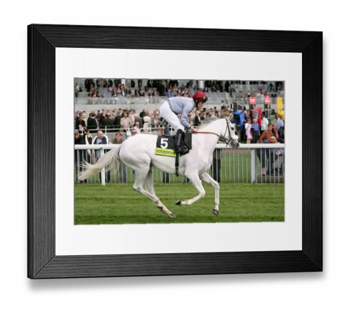 Framed Print : Sell Out Ridden By Ted Durcan York May Festival 2008 York Racecourse Framed Print : Sell Out Ridden By Ted Durcan York May Festival 2008 York Racecourse