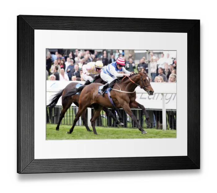 Framed Print : Luneron Ahead Of Pevensey Wins