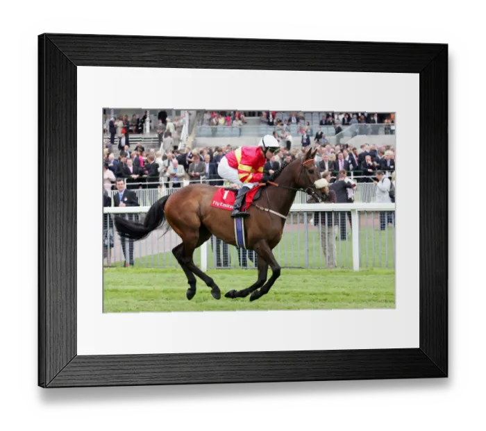 Framed Print : Alfie Flits Framed Print : Alfie Flits