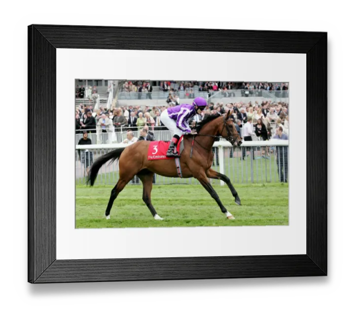 Framed Print : Honolulu Ridden By J Murtagh York May Festival 2008 York Racecourse Framed Print : Honolulu Ridden By J Murtagh York May Festival 2008 York Racecourse