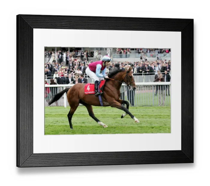 Framed Print : Royal And Regal Framed Print : Royal And Regal