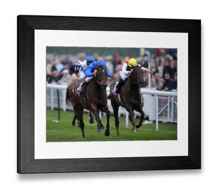 Framed Print : Yamel & Philario Framed Print : Yamel & Philario