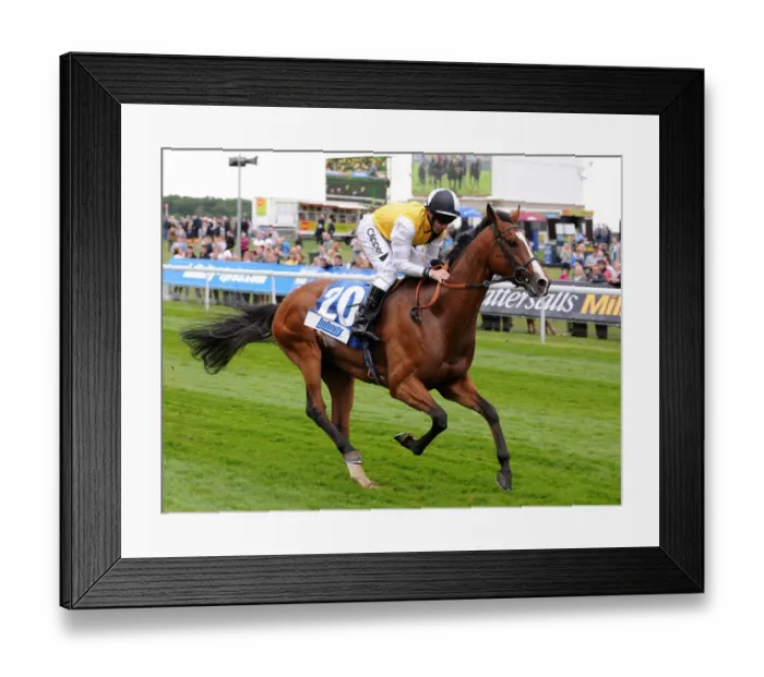 Framed Print : Pecan Star Ridden By Neil Callan