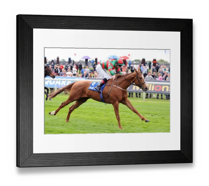 Framed Print : Common Touch Framed Print : Common Touch