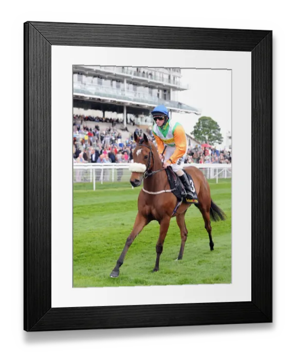 Framed Print : Barefoot Lady Ridden By Paul Hanagan