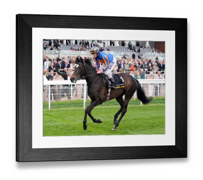 Framed Print : Amazing Beauty Ridden By Ryan Moore Framed Print : Amazing Beauty Ridden By Ryan Moore